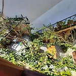 Ali Baba's House 2* Σελτσούκ