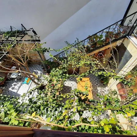 Bed & Breakfast Ali Baba's House 2*