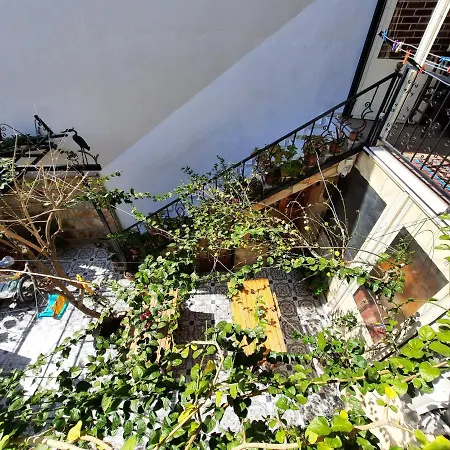 알리 바바스 하우스 B&B 2*