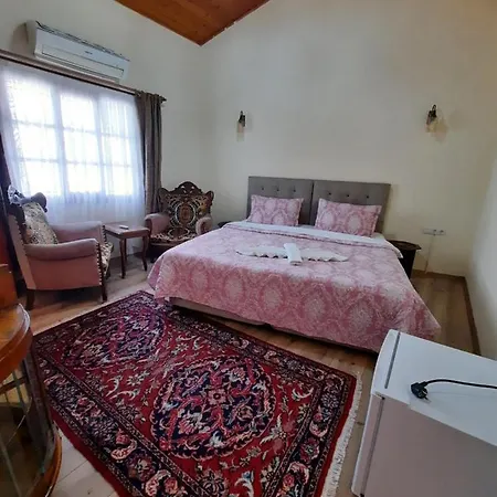 Bed and Breakfast Ali Baba's House Σελτσούκ