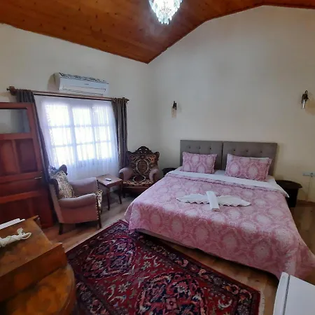 Bed and Breakfast Ali Baba's House Σελτσούκ