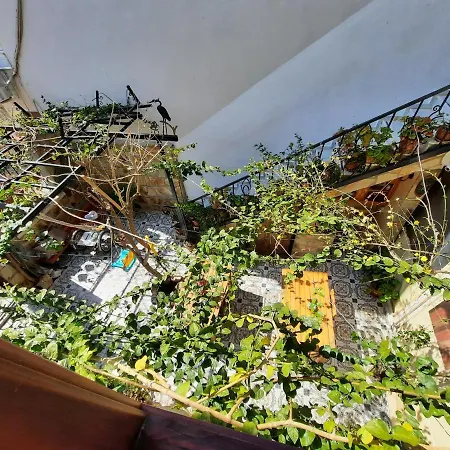 Ali Baba's House 2* Σελτσούκ