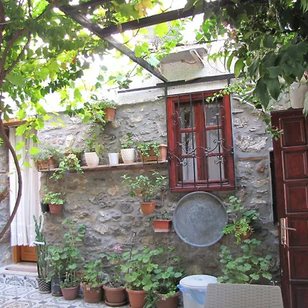 Ali Baba's House 2*